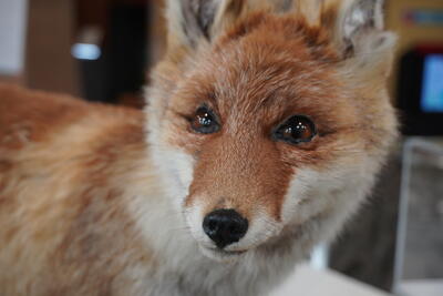 R071111_2年生校外学習