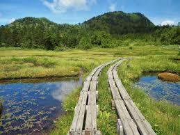 ０７３０ 林間学校２日目